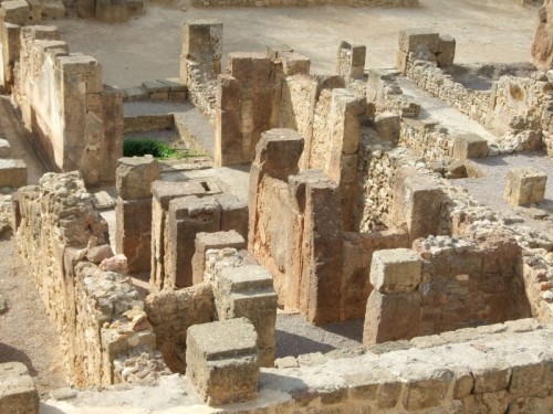 dpscamera0037.jpg