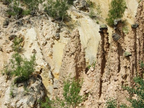dscf0131.jpg