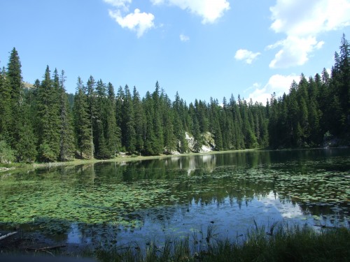 dscf2430.jpg