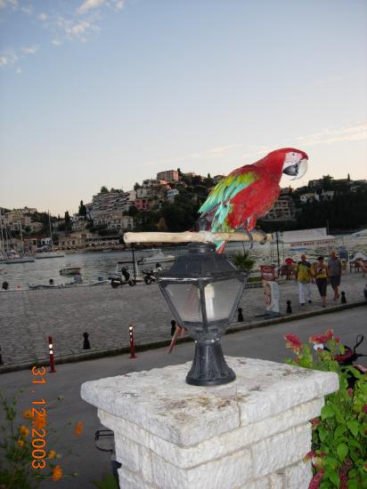 DSCN4891.JPG
