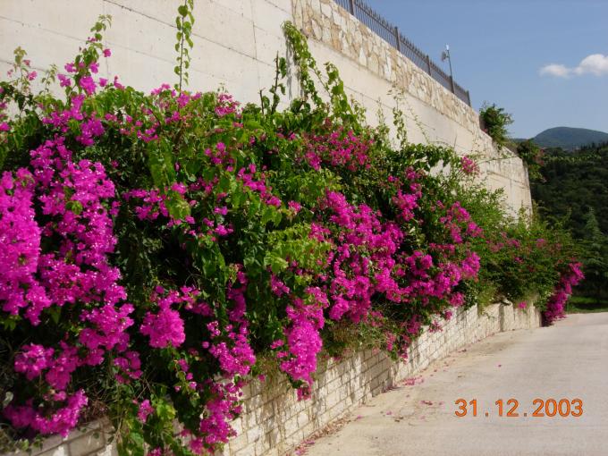 DSCN4897.JPG