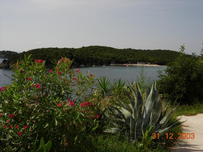 DSCN4914.JPG