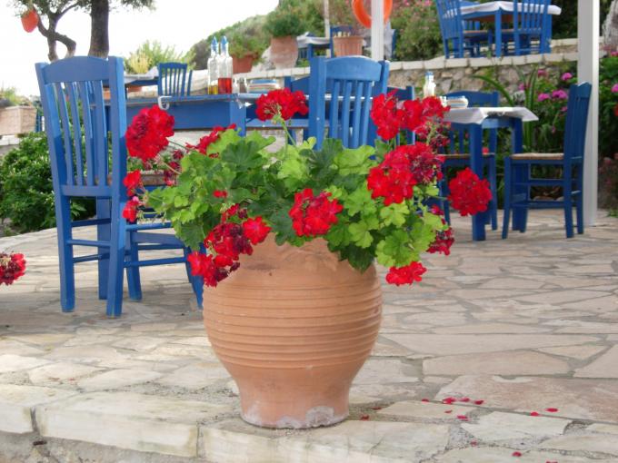 DSCN4930.JPG