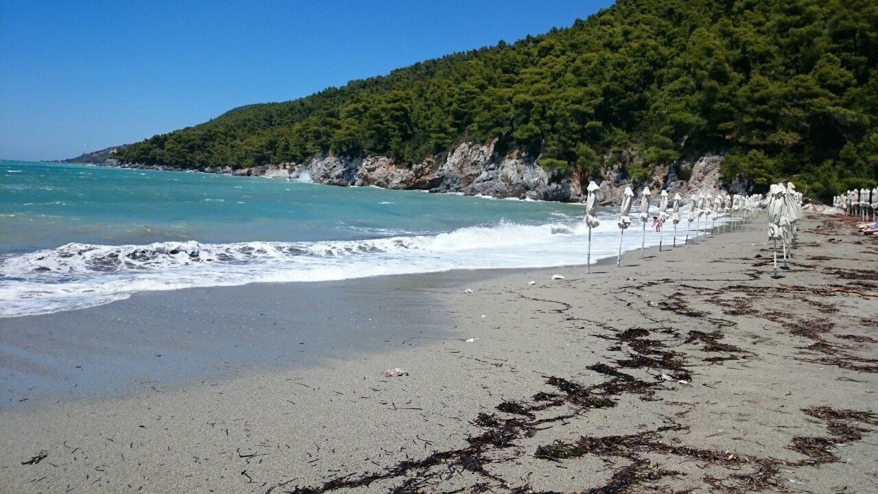 image-0-02-01-8002ba38c5572d07ca703cf427