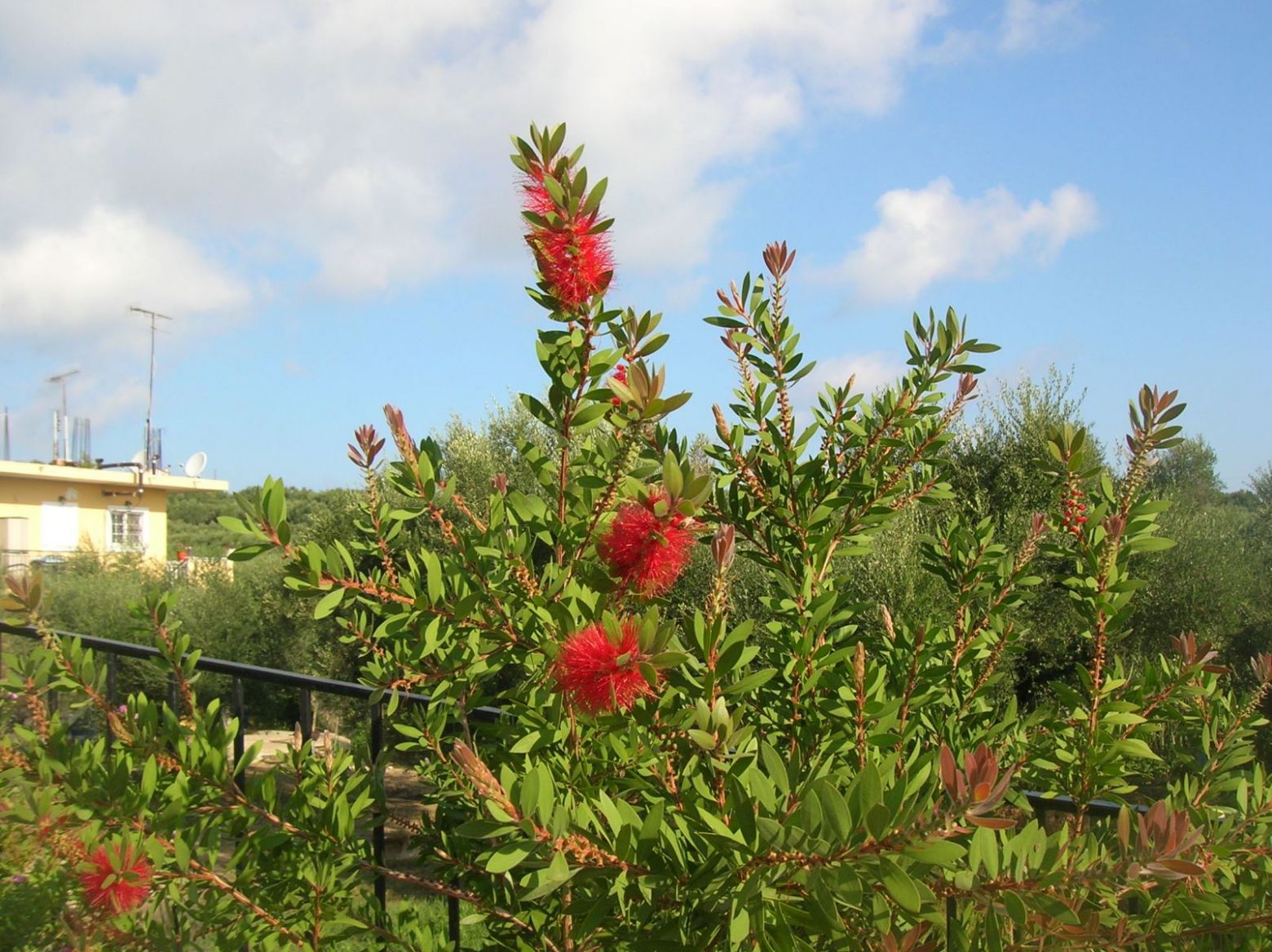 DSCN4076.thumb.JPG.cffc8487619925aae3aa6