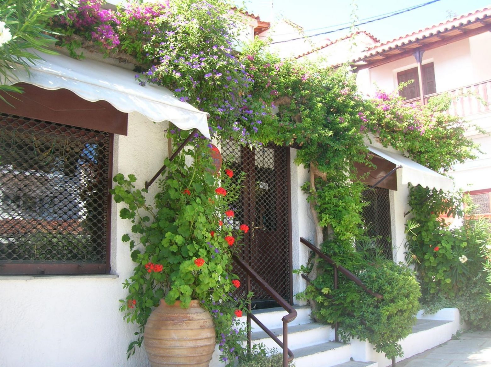 DSCN4556.thumb.JPG.4e17dff7ac1653b5d3218