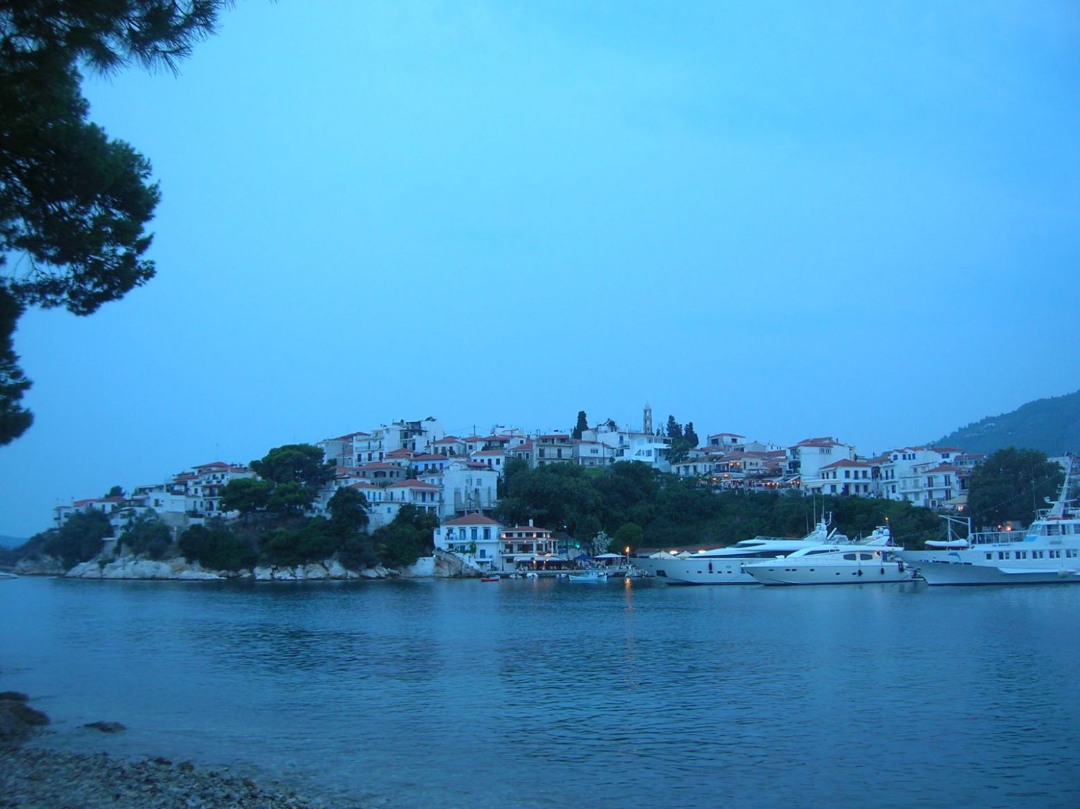 DSCN4437.JPG