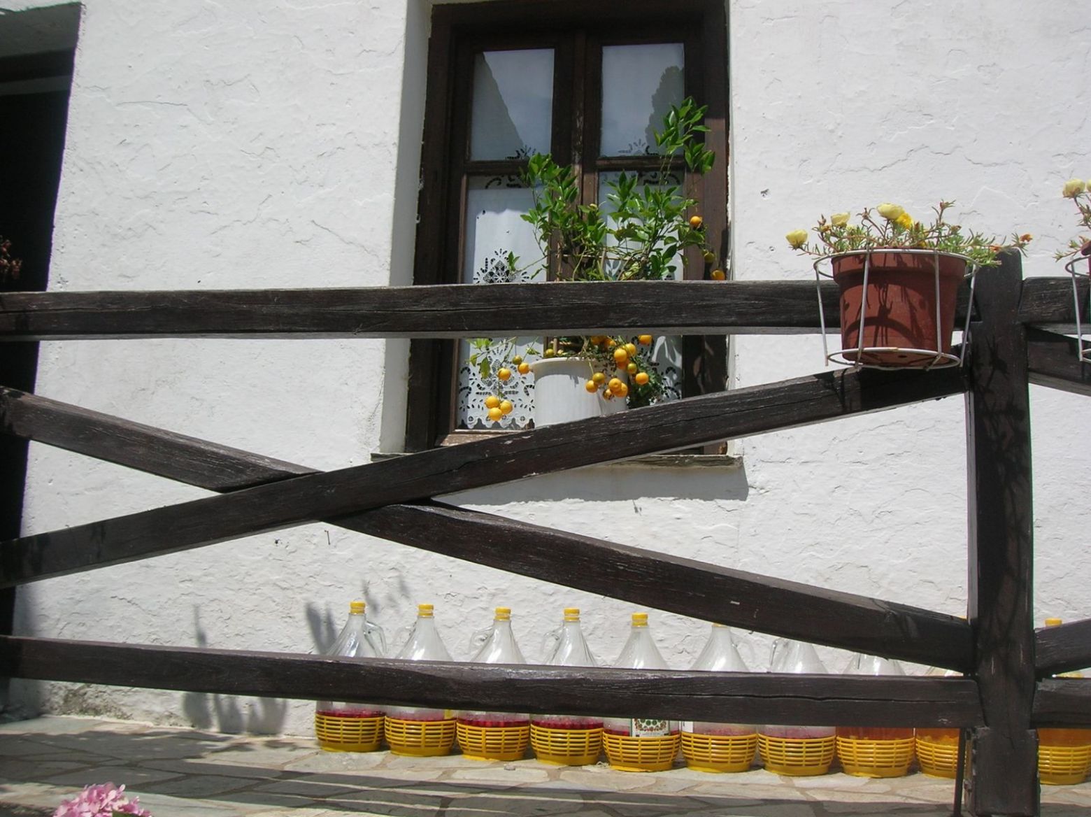 DSCN4458.JPG