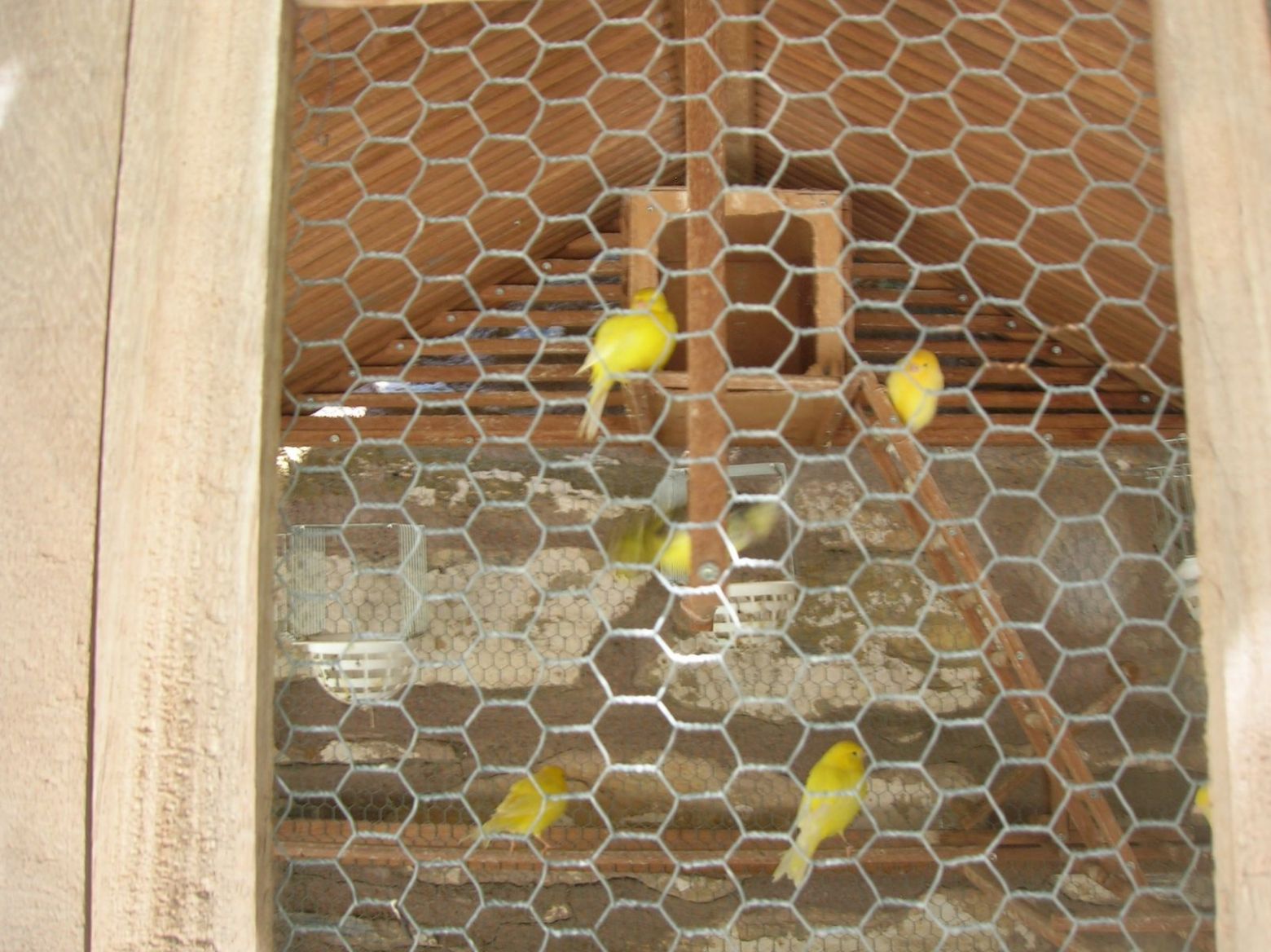 DSCN4463.JPG