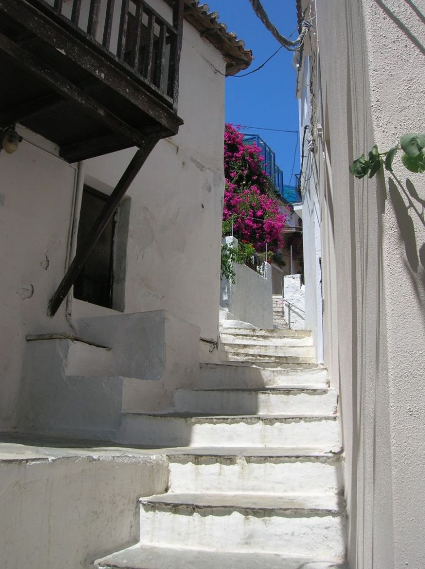 DSCN4521.thumb.JPG.0e16ecda564f2a5d415a1