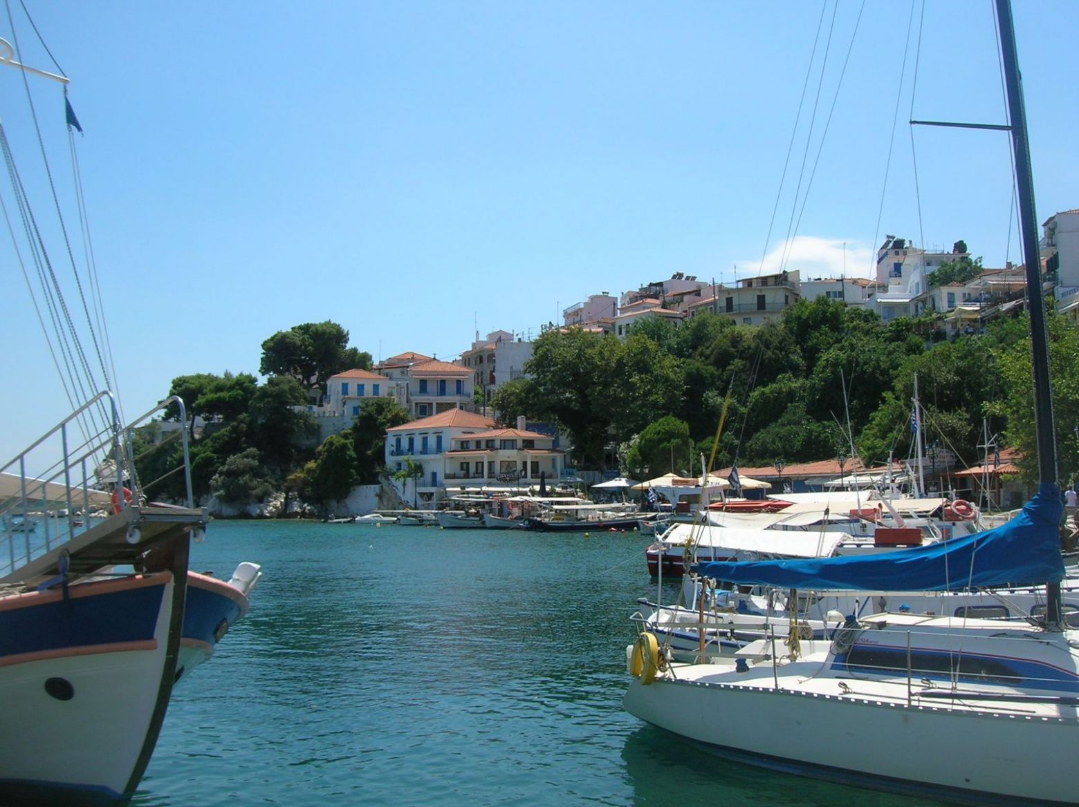 DSCN4527.thumb.JPG.612ff0398a2f8687e8e76