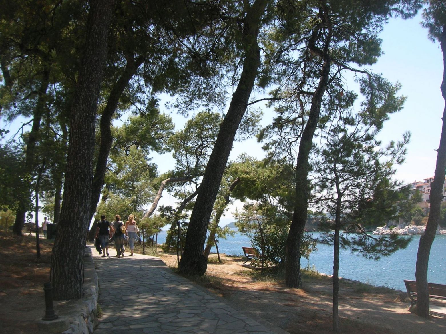 DSCN4531.JPG