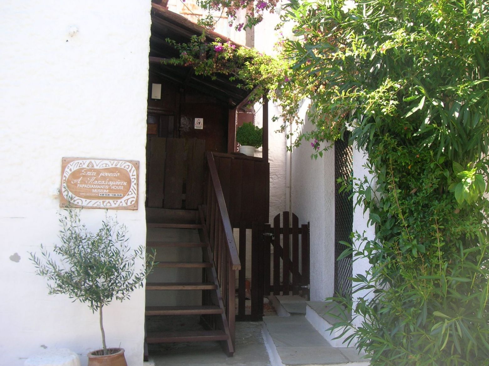 DSCN4555.JPG