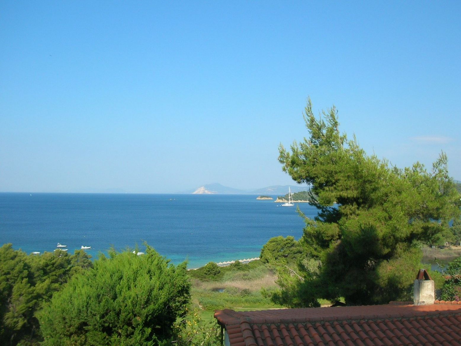 DSCN4609.thumb.JPG.c739a38a041d15ebbfcce