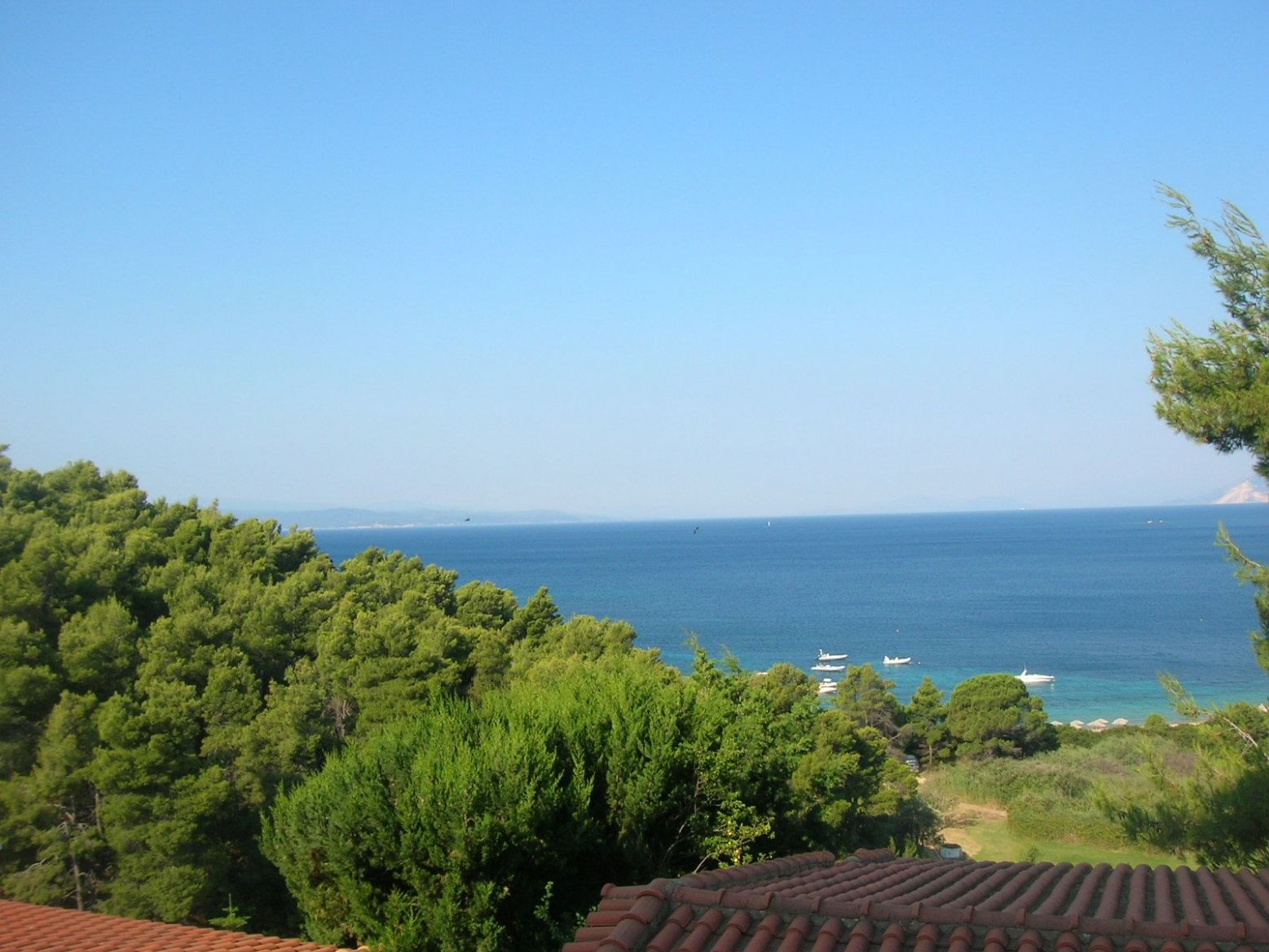 DSCN4610.thumb.JPG.f9fe11353d44223a652c3