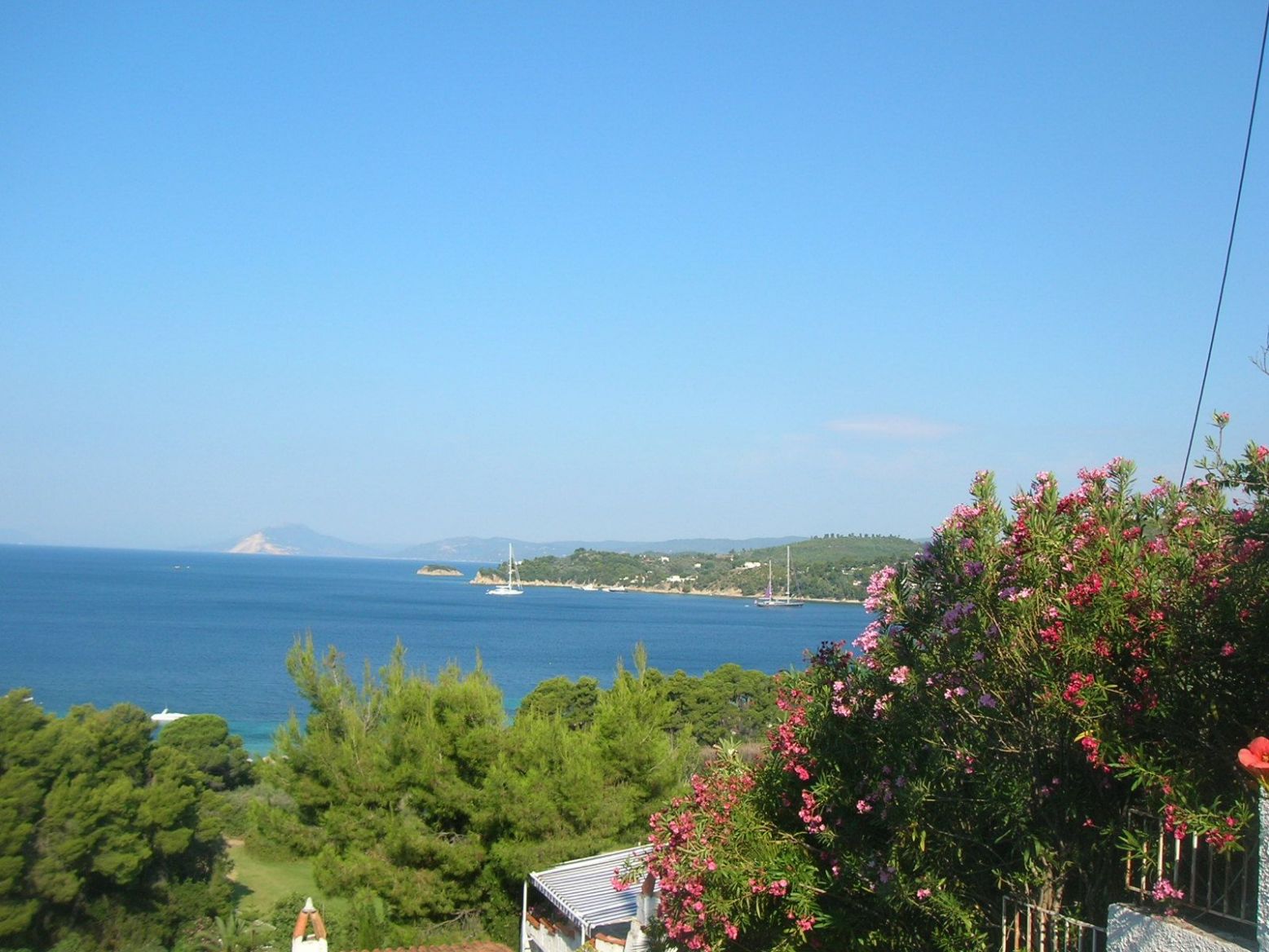 DSCN4611.thumb.JPG.1e19271f8795f4a33c0c4