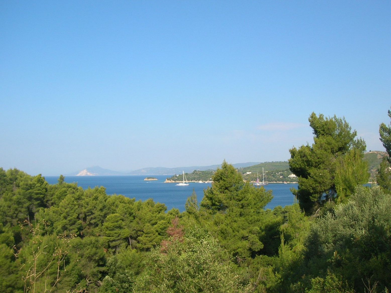 DSCN4614.thumb.JPG.681c556b04f8c8e763d73