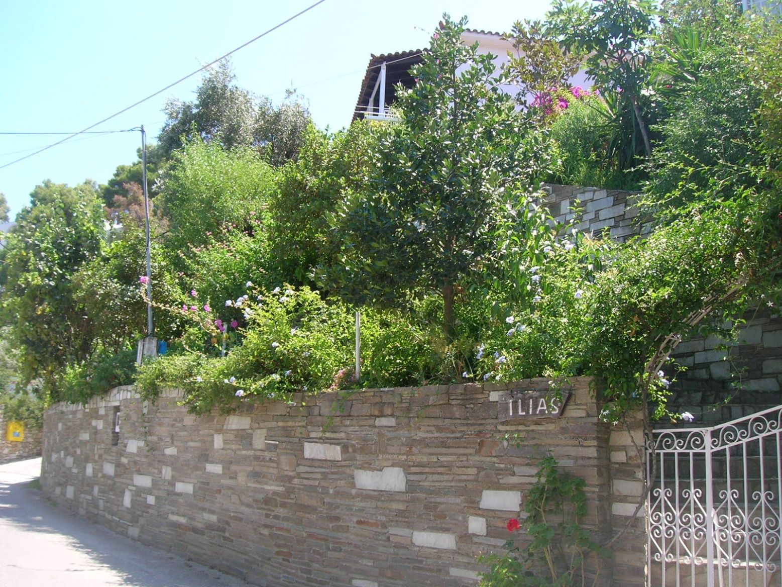 DSCN4653.thumb.JPG.c299a40a8aba81abce3cf