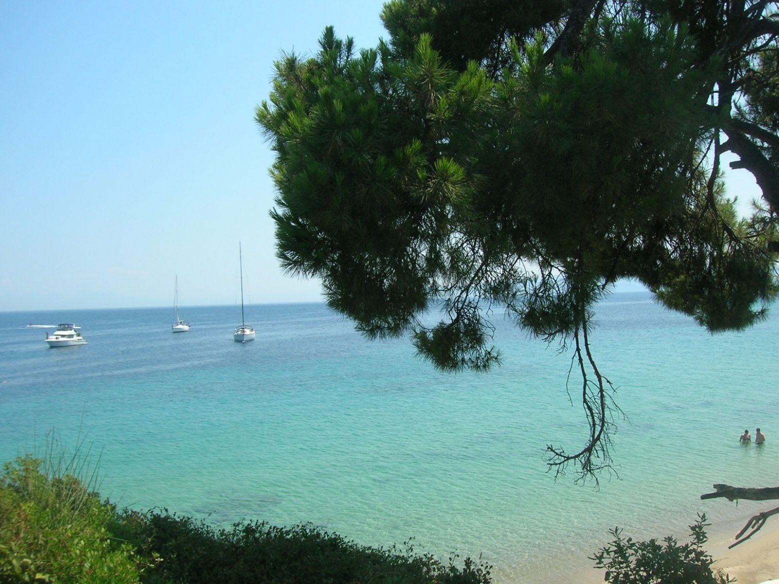 DSCN4848.thumb.JPG.db9158de54c09ecb7f599