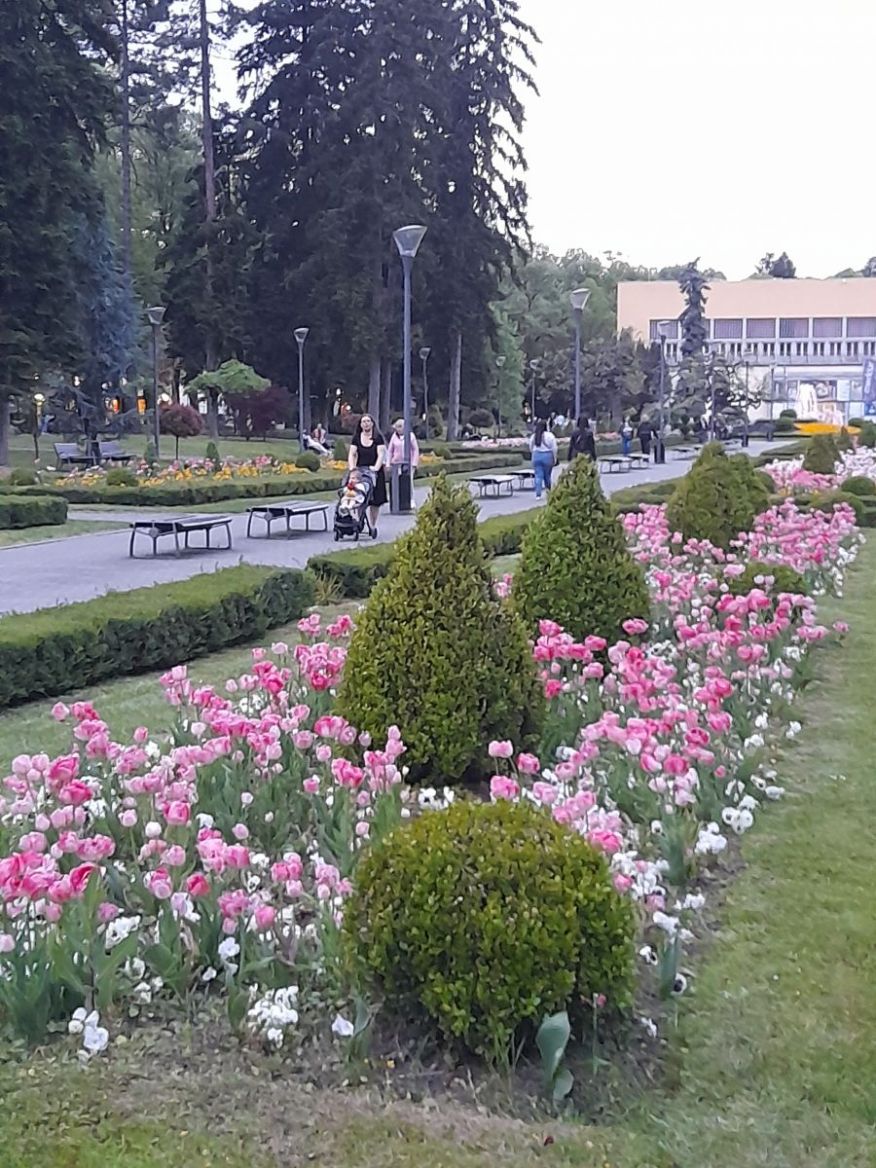 20260428_193650.jpg