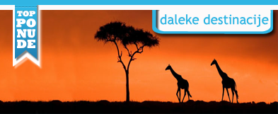 daleke2