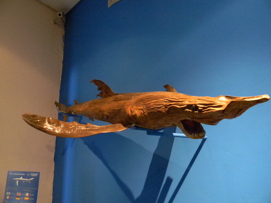 ac28053c74f528031cb009f3f218dc54.jpg