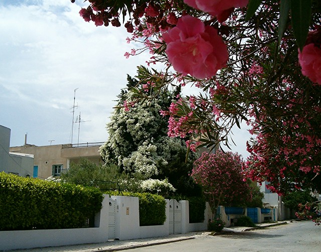 tmpimg201403150807553652.jpg