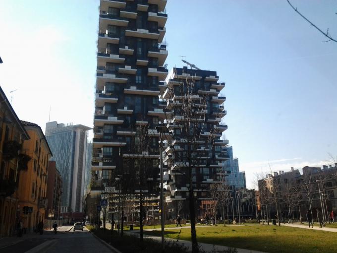 20150307_150812.jpg