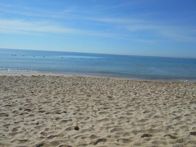 DSCN0296.JPG