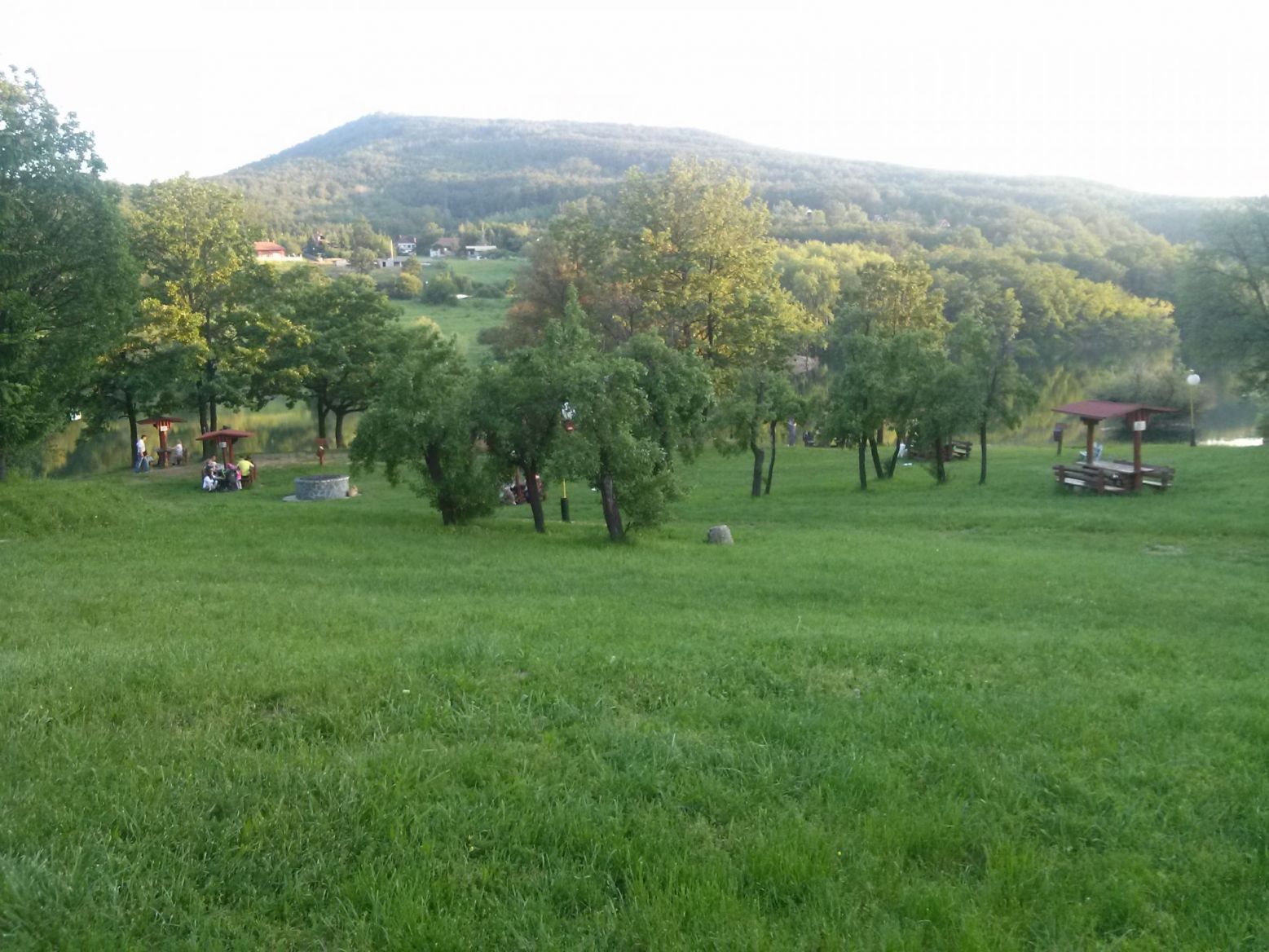 CAM00262.jpg