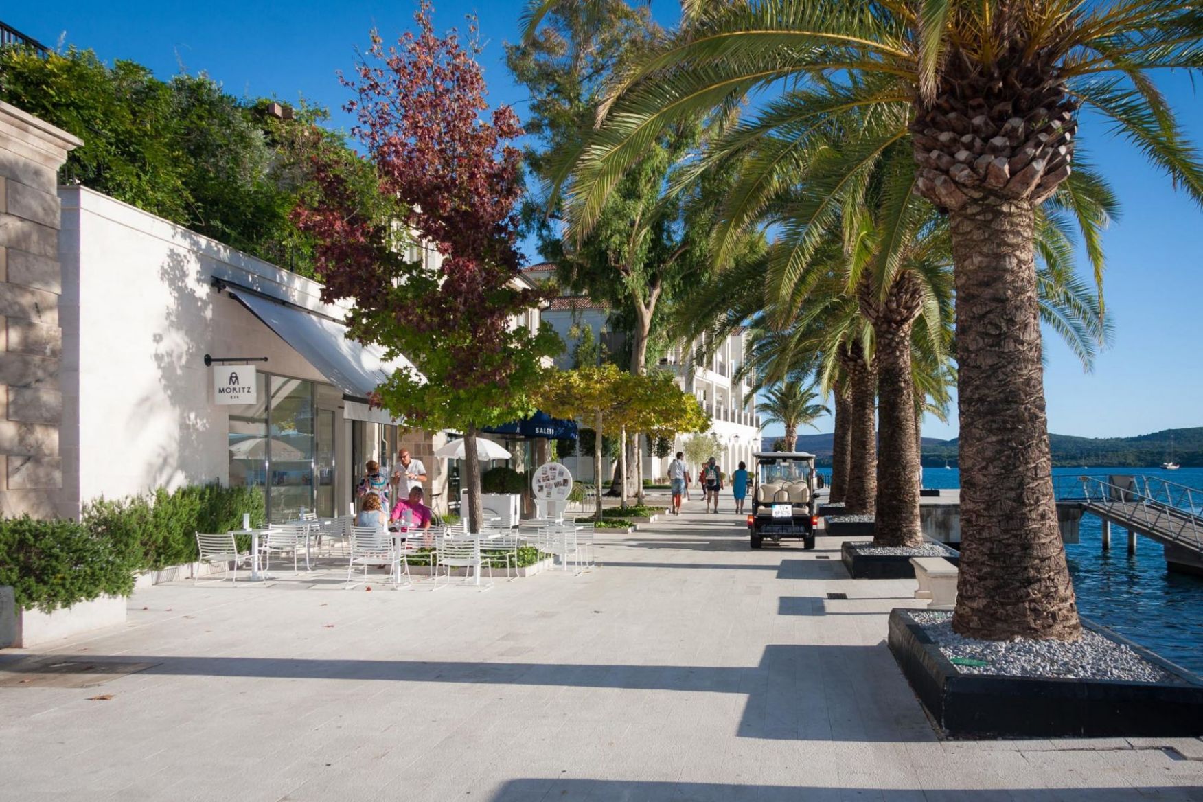 IMG_1224.thumb.jpg.0a8b418197c49080a08a1