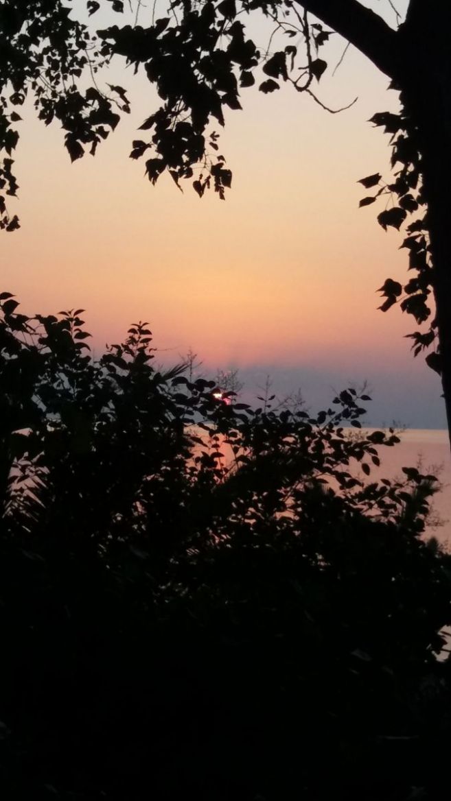 20170723_204209.jpg
